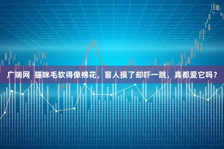 广瑞网  猫咪毛软得像棉花，盲人摸了却吓一跳，真都爱它吗？