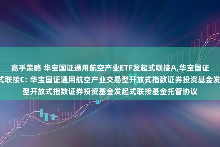 高手策略 华宝国证通用航空产业ETF发起式联接A,华宝国证通用航空产业ETF发起式联接C: 华宝国证通用航空产业交易型开放式指数证券投资基金发起式联接基金托管协议