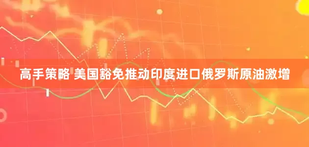 高手策略 美国豁免推动印度进口俄罗斯原油激增